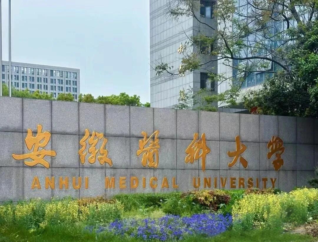 實(shí)力護(hù)航!熱烈祝賀我公司成功承接安徽醫(yī)科大學(xué)新醫(yī)科中心舞臺(tái)防火大幕項(xiàng)目
